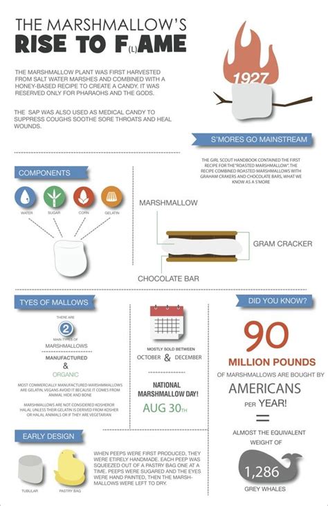 Blissful time marshmallow magic infographics